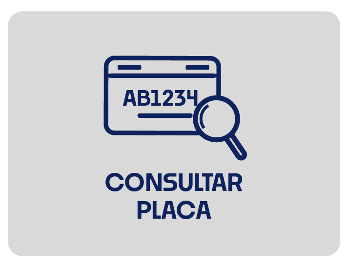 Consultar Placa